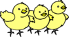 Chicks In A Line Clip Art